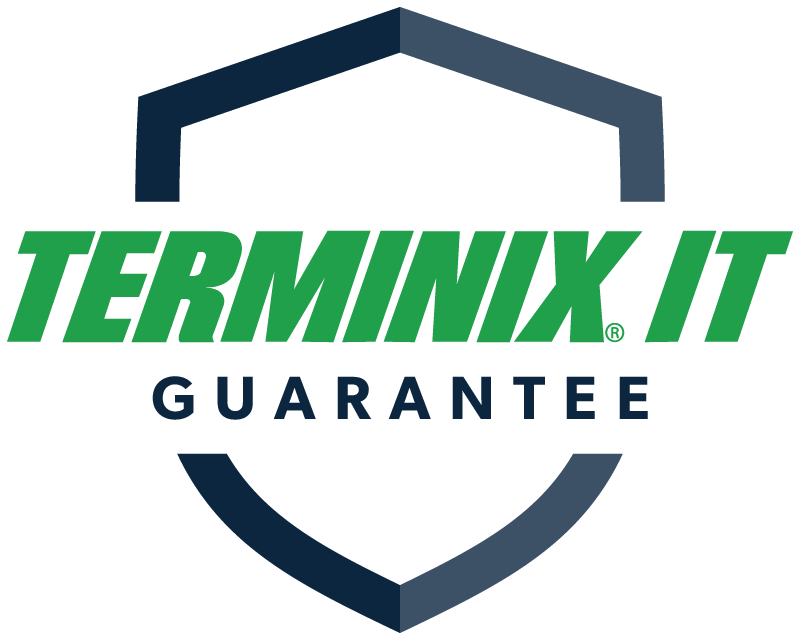 Piano Termite Treatment